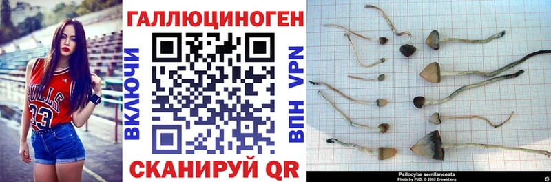 где найти наркотики  Кремёнки  Псилоцибиновые грибы MAGIC MUSHROOMS 
